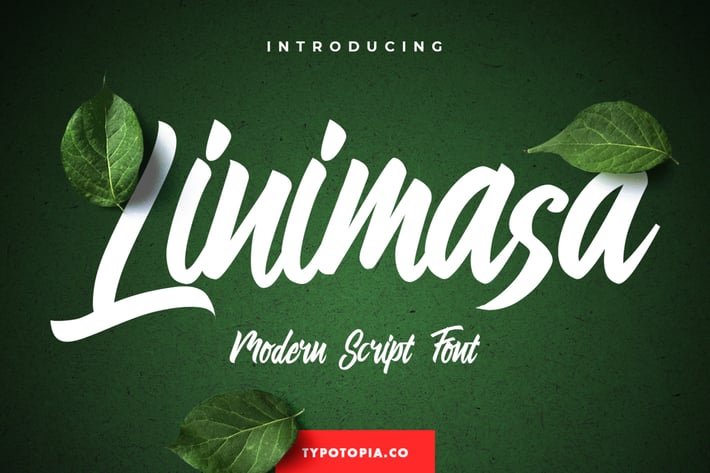 Linimasa – Modern Script Font