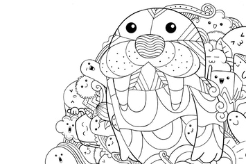 Seals Doodle