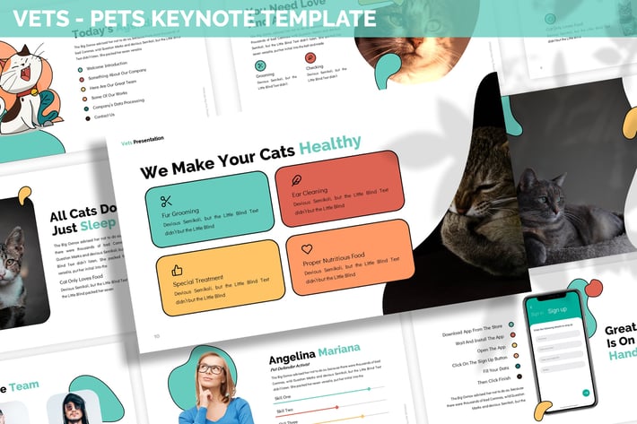 Vets - Pets Keynote Template