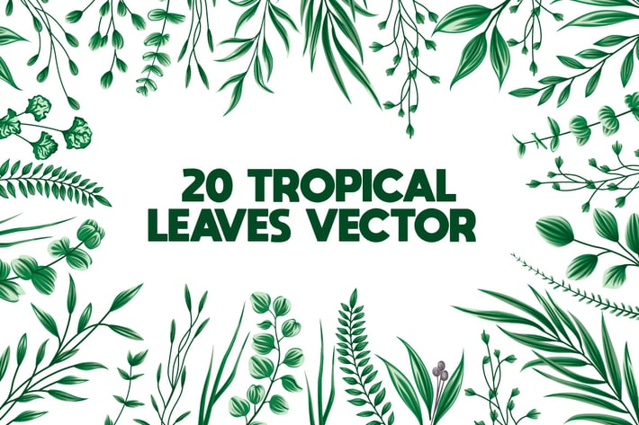 20 floral Leaves Bundle