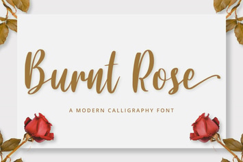 Calligraphy/Cursive Font