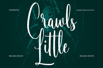 Little Crawls Script Font