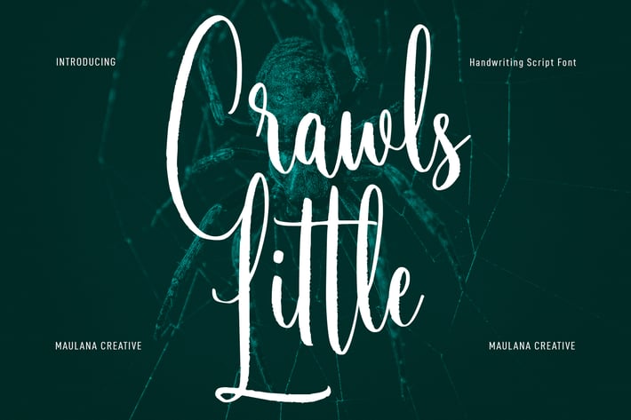 Little Crawls Script Font
