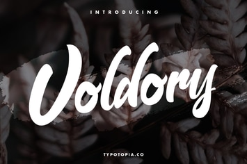 Voldory Modern Script Font