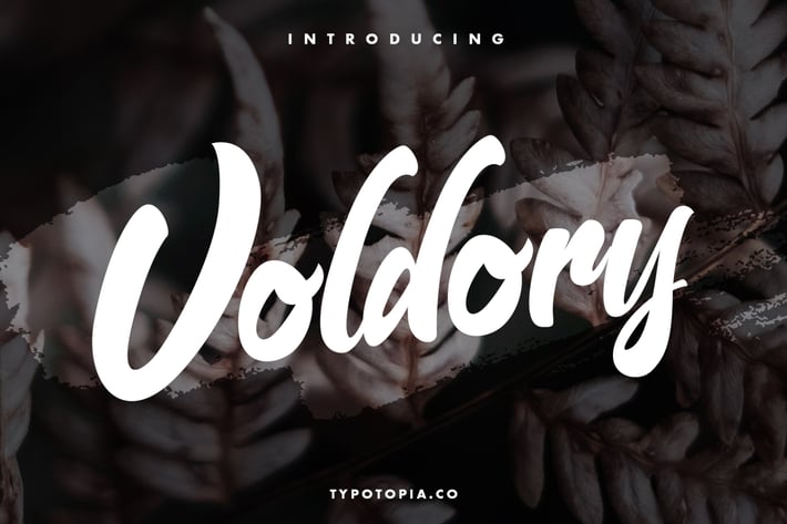 Voldory Modern Script Font