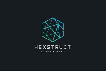 Abstract Hexagon Geometric Structure Logo
