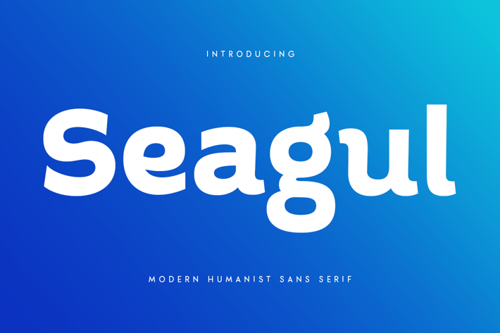 Seagul - Modern Humanist Sans Serif