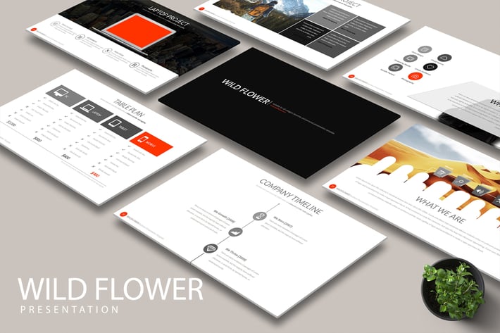 WILD FLOWER Powerpoint