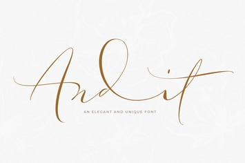 Andit