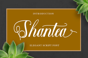 Shantea Script