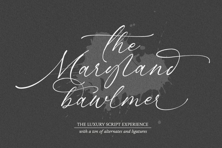 Maryland Bawlmer