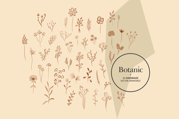 Botanic - Handmade Vector Drawings