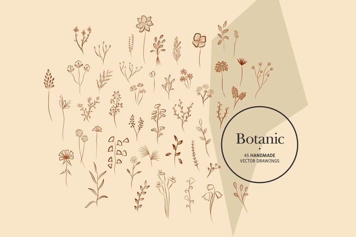 Botanic - Handmade Vector Drawings