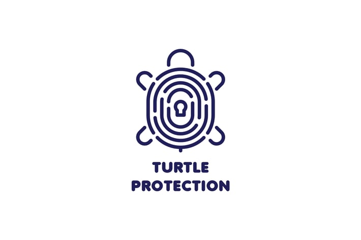 Turtle Protection