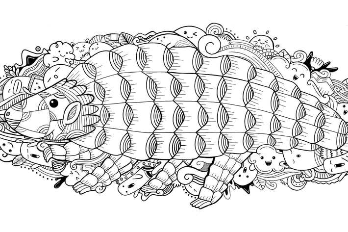 Pangolin Doodle