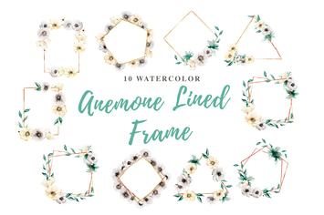 10 Watercolor Anemone Lined Frame Illustration