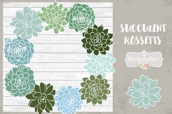 Vector succulent rosettes