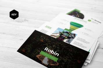 Robin - Keynote Template