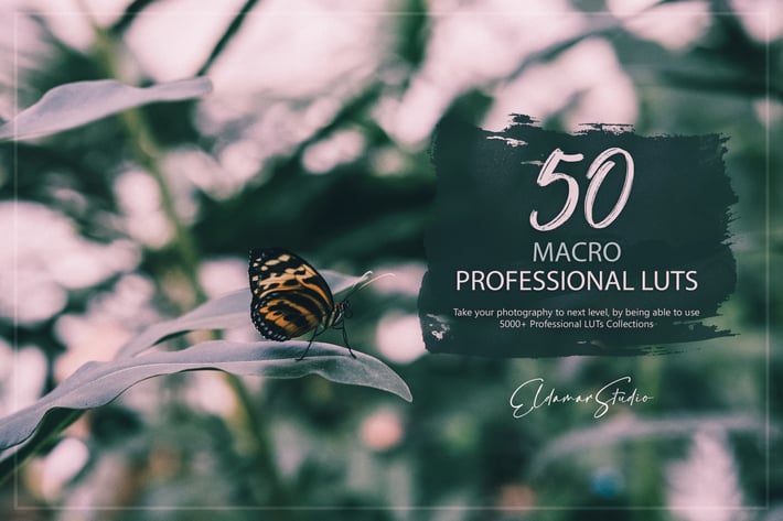 50 Macro LUTs Pack