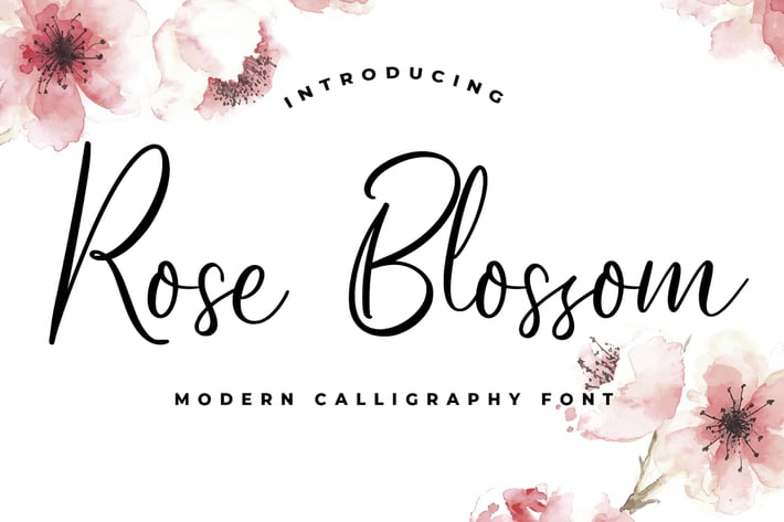 Rose Blossom