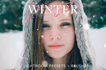 Winter Lightroom presets + Brushes