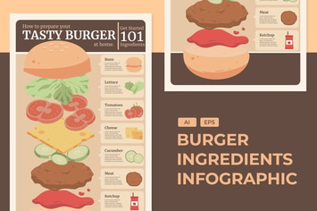 Burger Ingredients  - Food Infographics