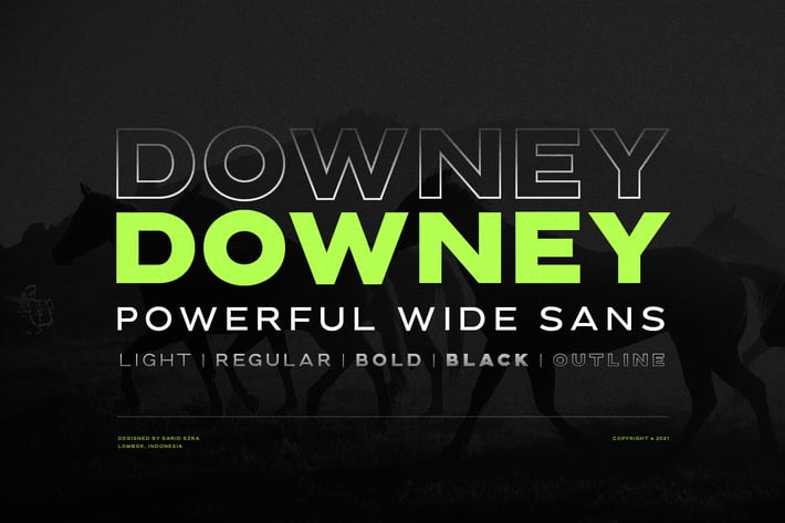 Downey - Powerful Wide Sans