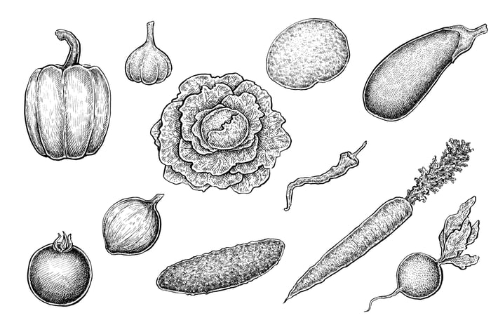 Vegetables Collection