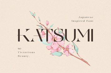 Modern Japanese Font