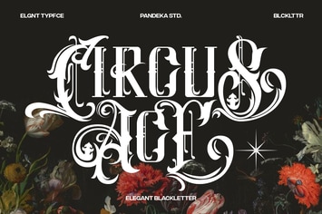 Circus Ace - Modern Elegant Blackletter