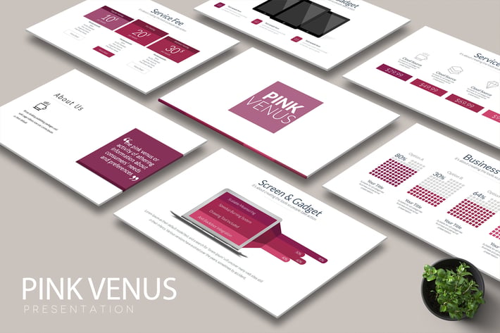 PINK VENUS Powerpoint