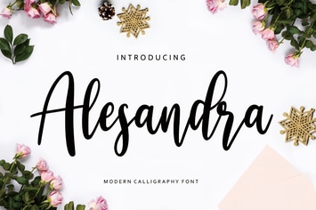 Alesandra Calligraphy Business Font