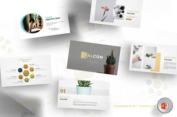 Falcon - Powerpoint Template