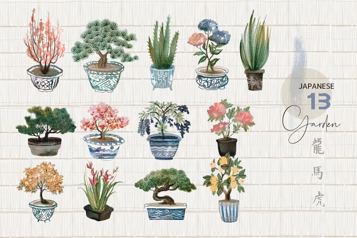 Watercolor japanese bonsai - illustrations set