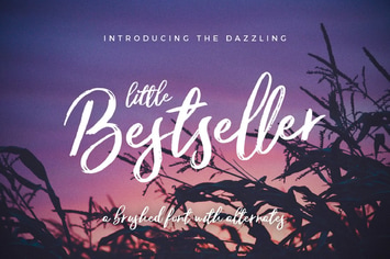 Little Bestseller Script Font