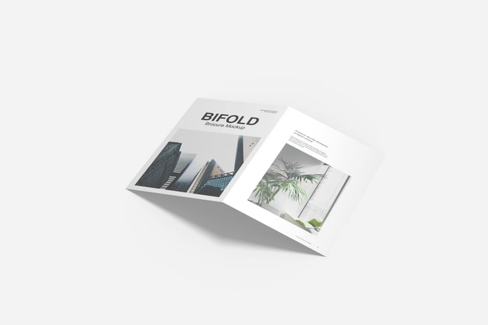 Bifold Mockup V2