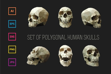 Set of Polygonal Human Skulls