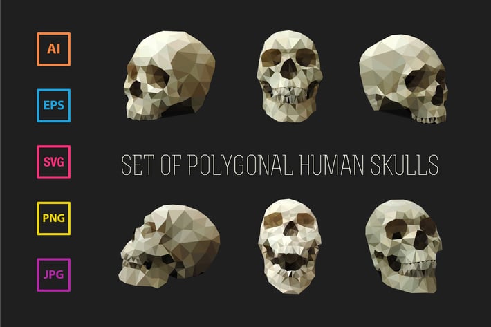 Set of Polygonal Human Skulls