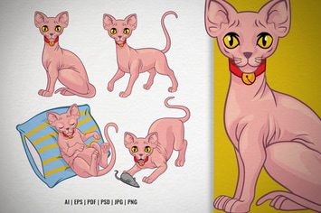 Set of Cartoon Sphynx Cat Vector