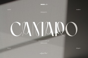 Camaro | Stylish Display