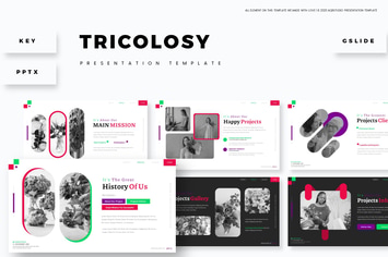 Tricolo - Presentation Template