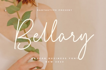 Bellary Business Font