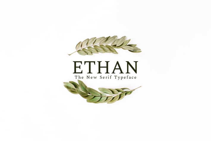 Ethan Serif Font Family