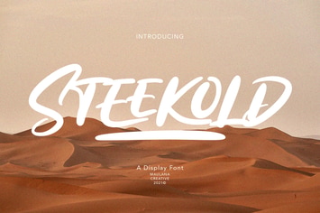 Steekold Display Font