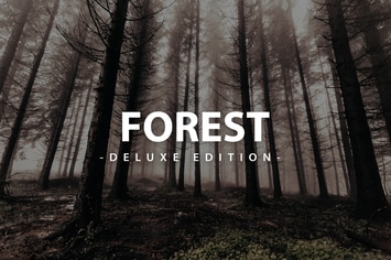 Forest Deluxe Edition | For Mobile and Desktop