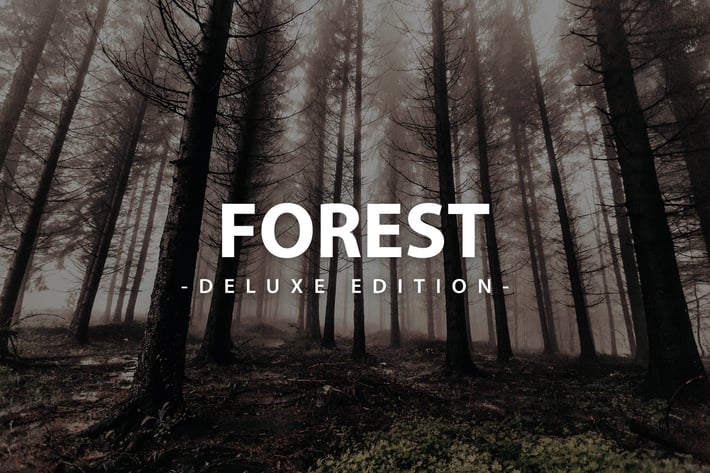 Forest Deluxe Edition | For Mobile and Desktop