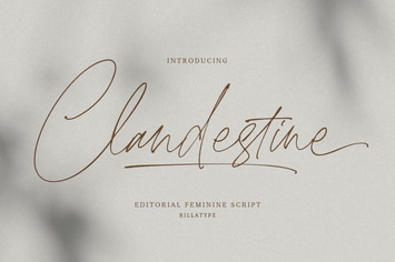 Clandestine Script