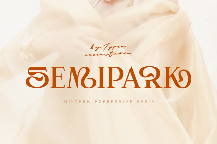 Semipark - Creative and Unique Serif / Logo Font