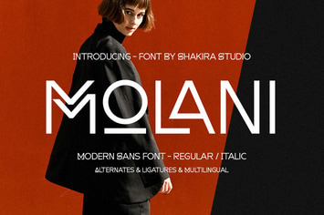 Molani - Modern Sans Font