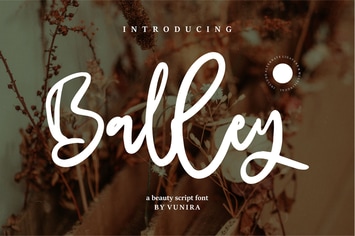 Balley | A beauty Script Font